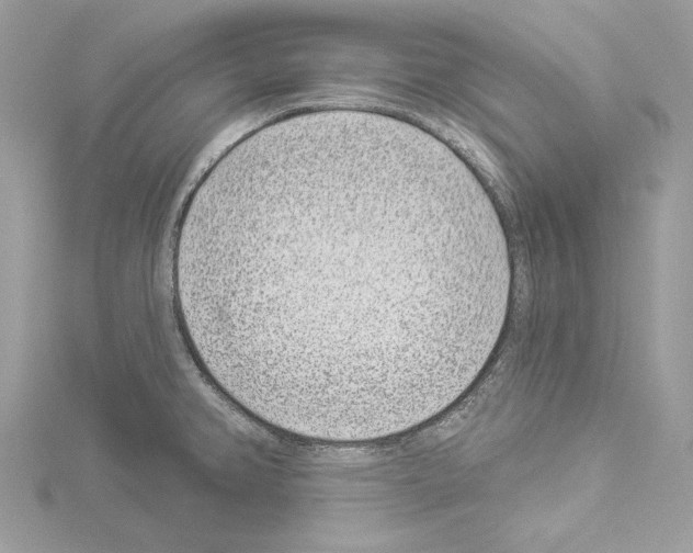 X0000114491382200911301057