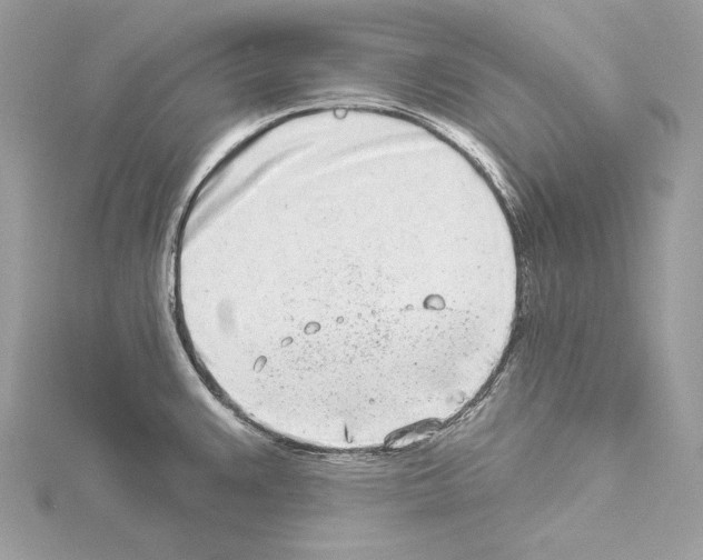 X0000114491383200911301056