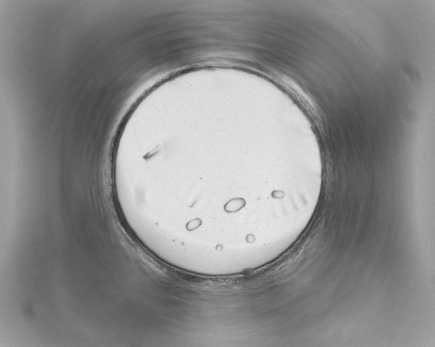 X0000114491384200911301056