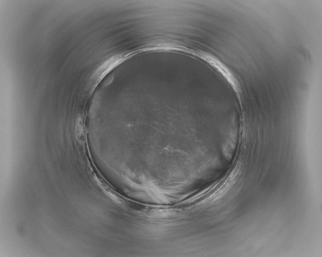 X0000114491385200911301056