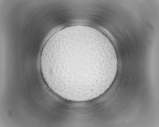 X0000114491386200911301056