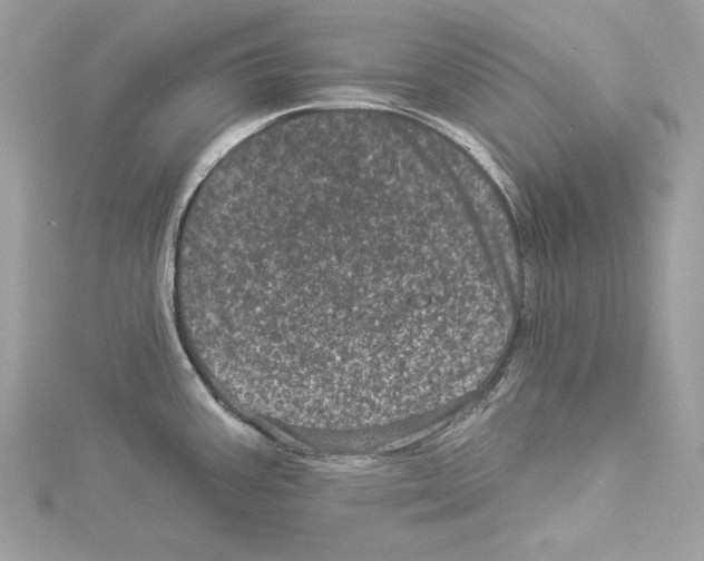 X0000114491387200911301056