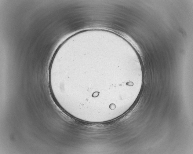 X0000114491388200911301056