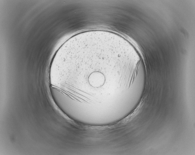 X0000114491389200911301056