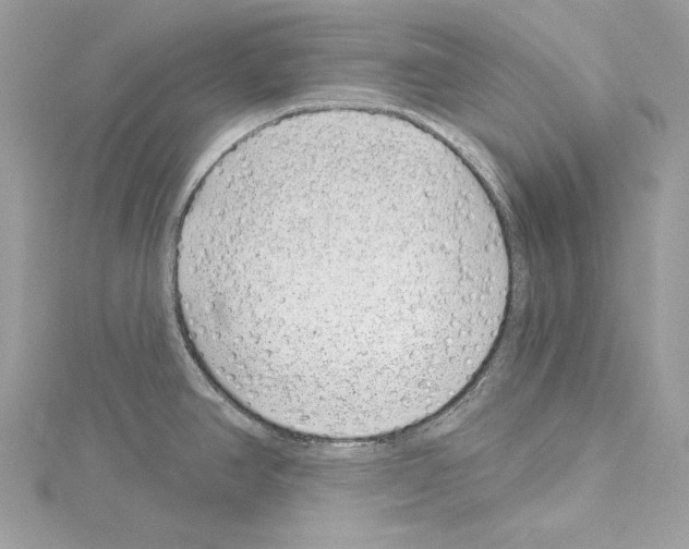 X0000114491390200911301056