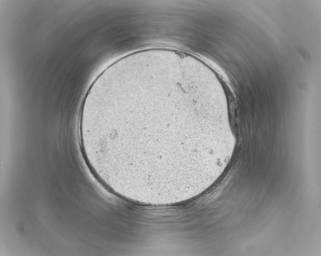 X0000114491391200911301056