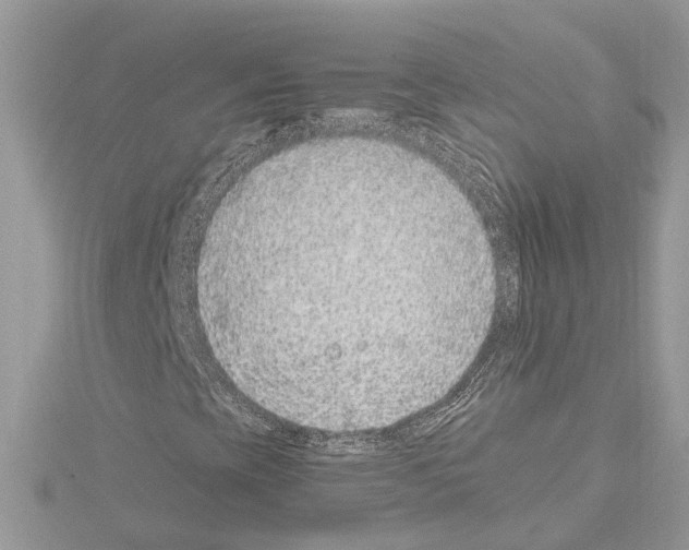 X0000114491393200911301056