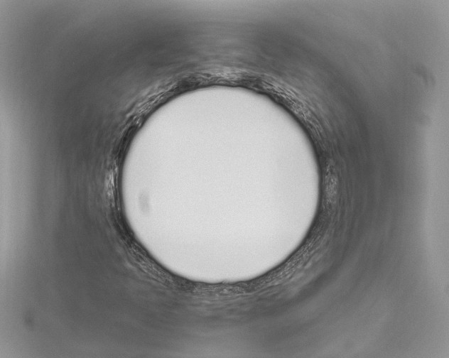 X0000114491397200911301056