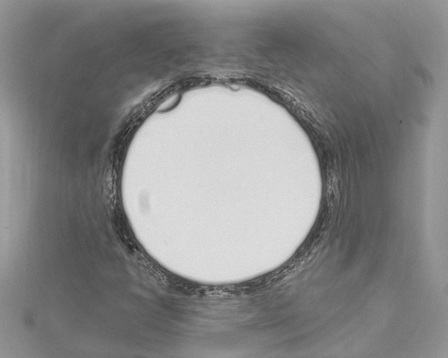 X0000114491398200911301056