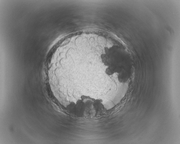 X0000114491400200911301056