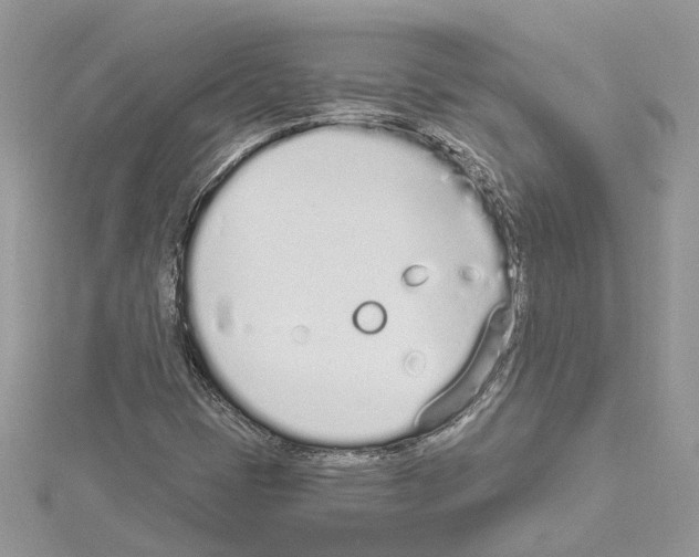 X0000114491401200911301056