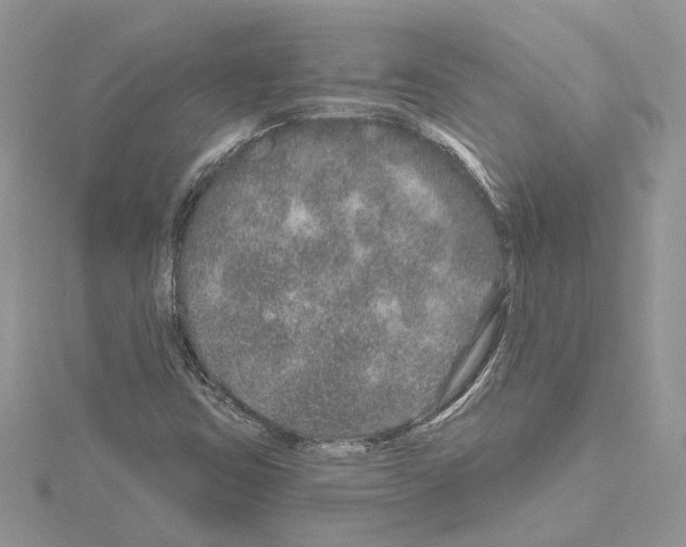 X0000114491403200911301056