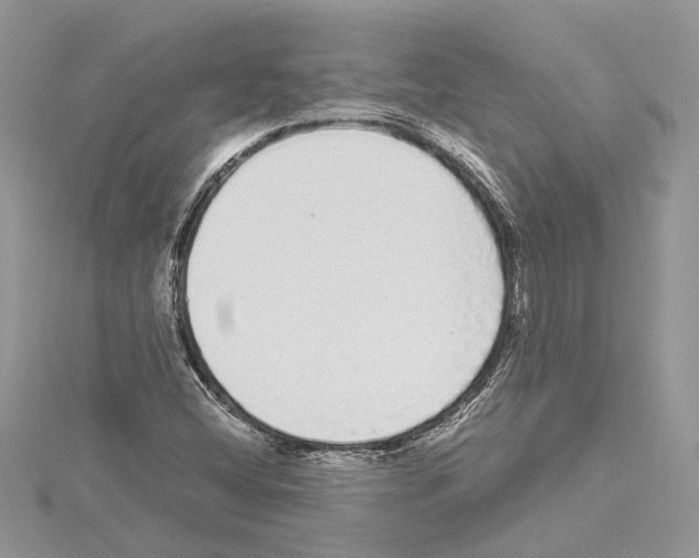 X0000114491404200911301056