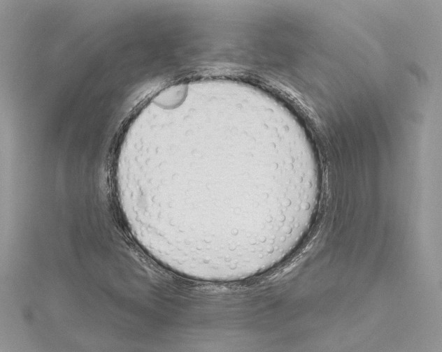 X0000114491405200911301056