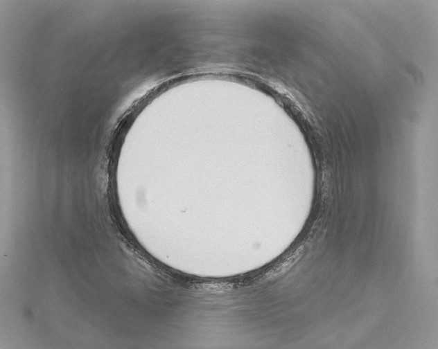 X0000114491406200911301056