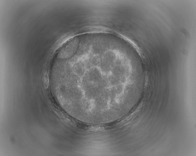 X0000114491407200911301056