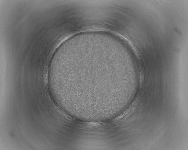 X0000114491409200911301056