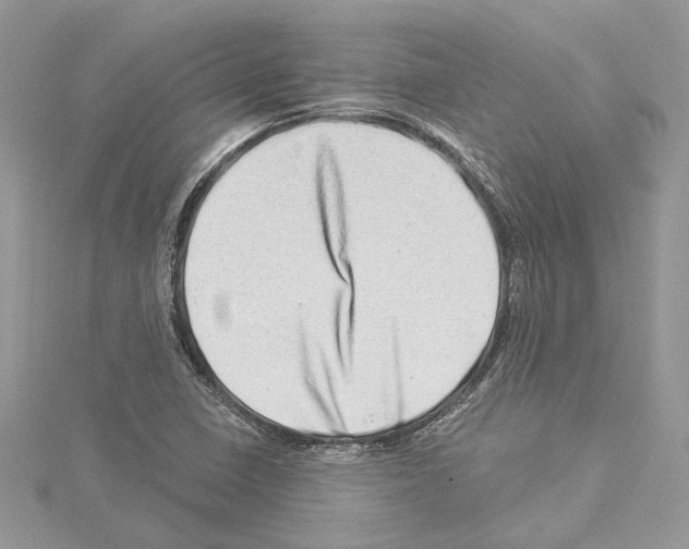 X0000114491410200911301056