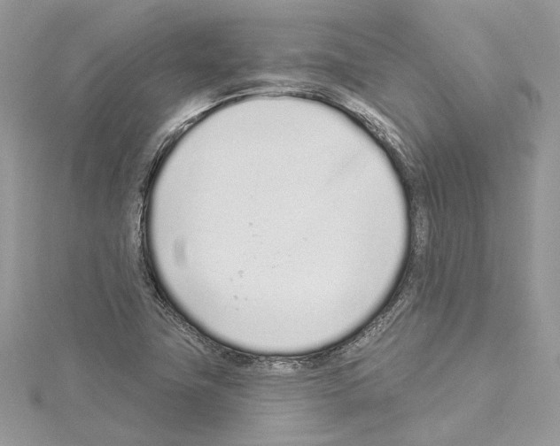 X0000114491411200911301056