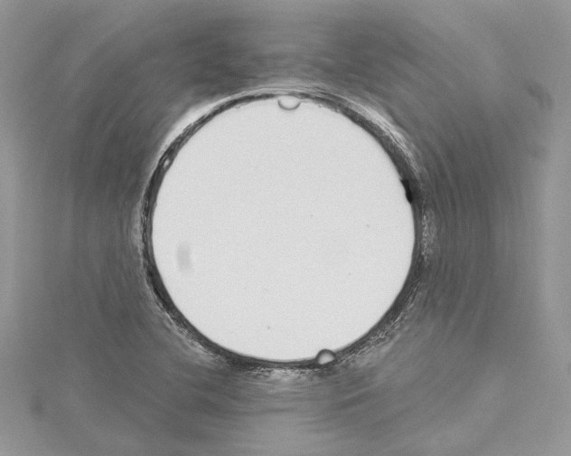 X0000114491412200911301056