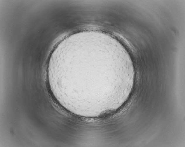 X0000114491413200911301056