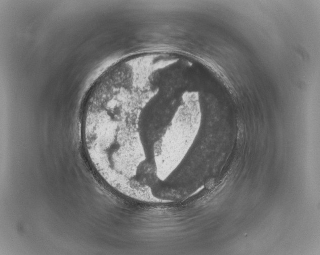 X0000114491414200911301056