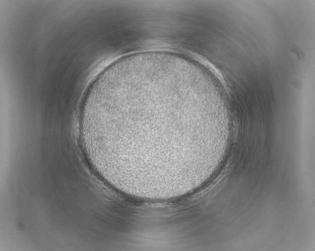 X0000114491415200911301056