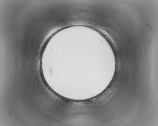 X0000114491416200911301056