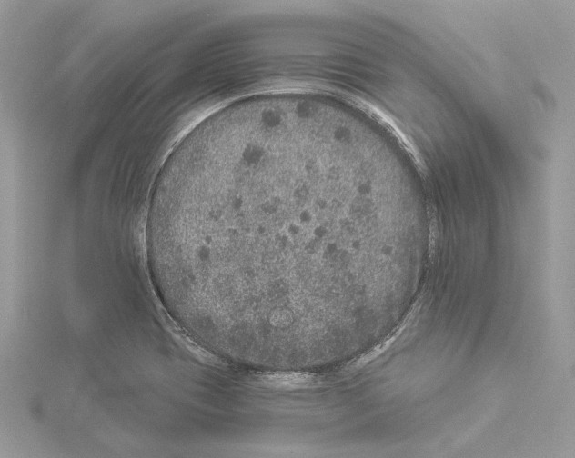 X0000114491417200911301056