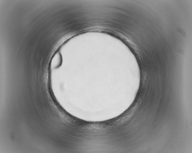 X0000114491418200911301056