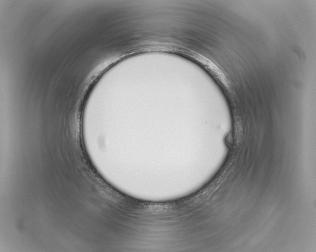 X0000114491419200911301056