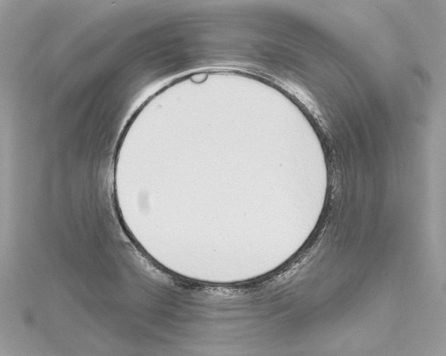 X0000114491420200911301056