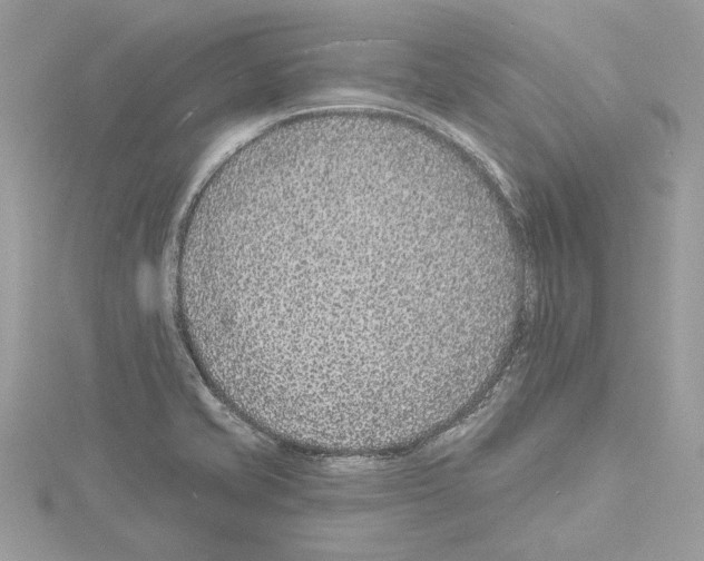 X0000114491421200911301056