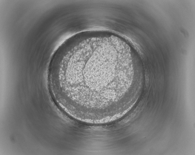 X0000114491422200911301056