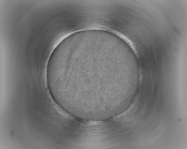 X0000114491423200911301056