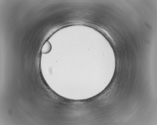 X0000114491424200911301056