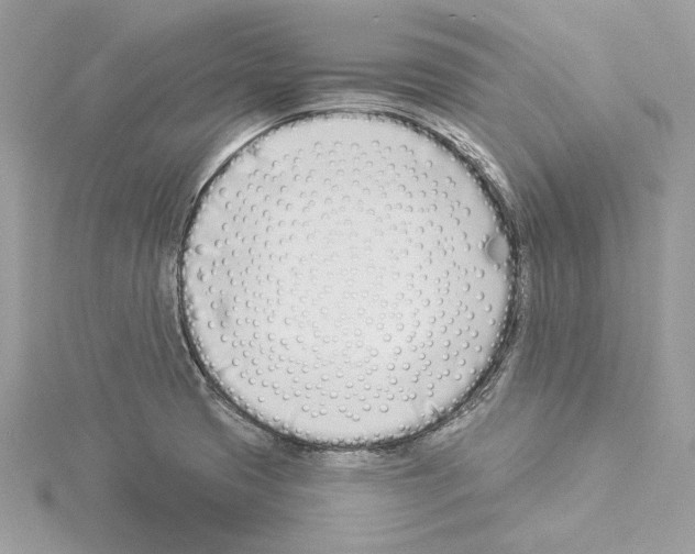 X0000114491425200911301056