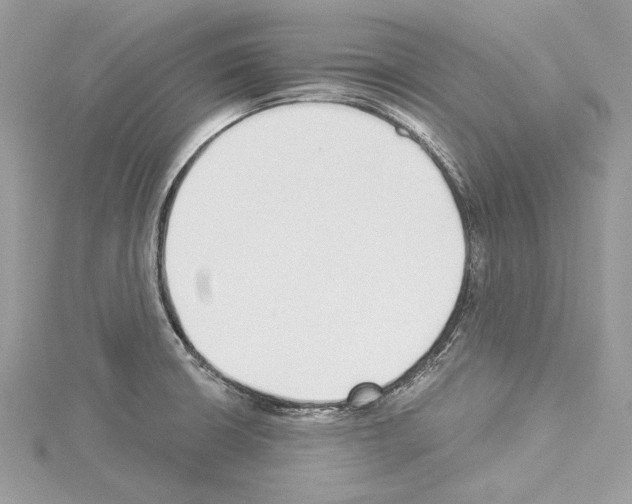 X0000114491426200911301056