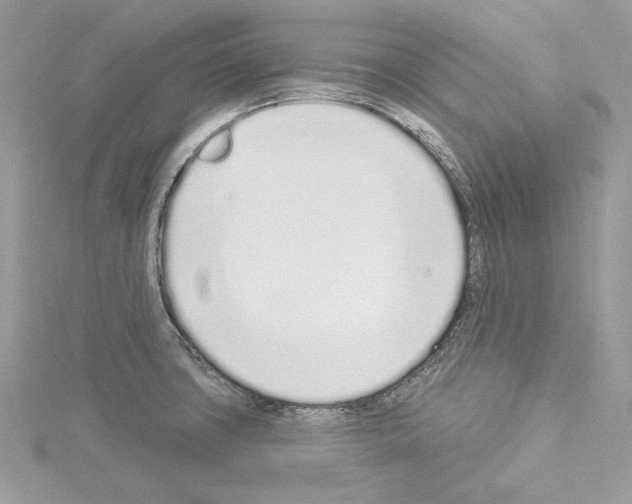 X0000114491427200911301056