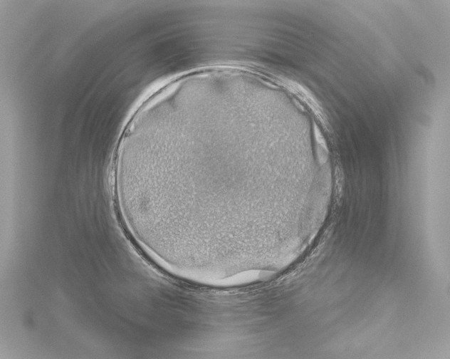 X0000114491428200911301056