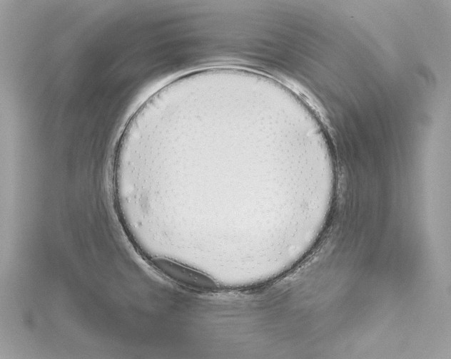 X0000114491429200911301056