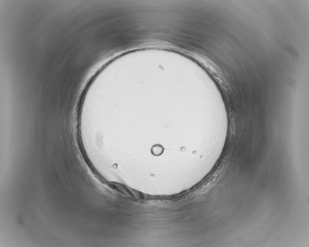 X0000114491430200911301056