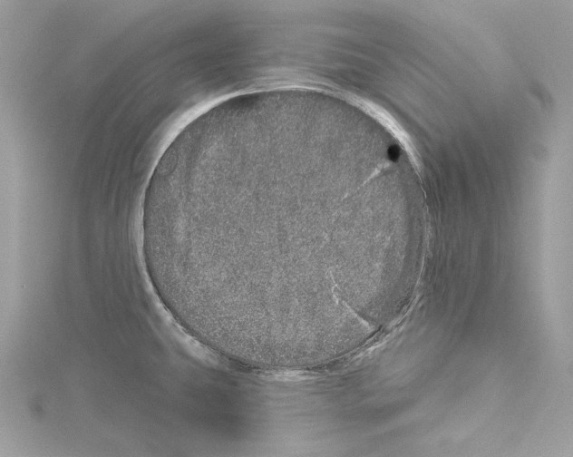 X0000114491431200911301056