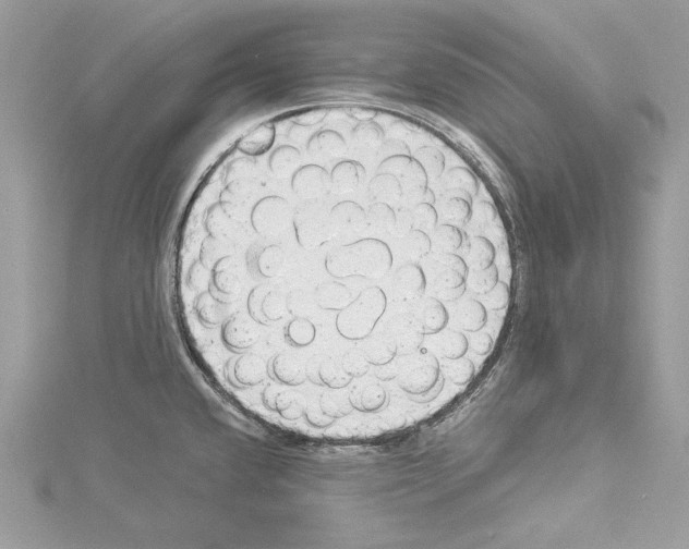 X0000114491432200911301056