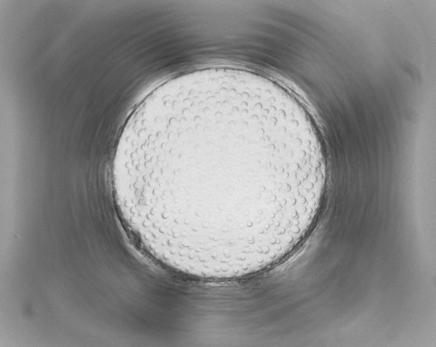 X0000114491433200911301056