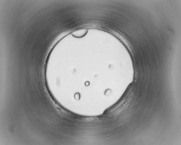 X0000114491434200911301056