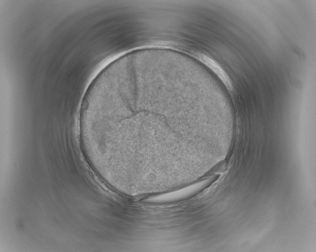 X0000114491436200911301056