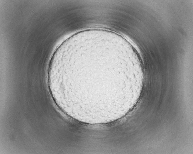 X0000114491437200911301056