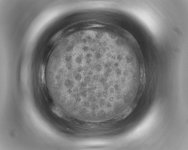 X0000114491439200911301056