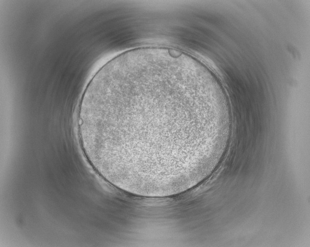 X0000114491440200911301056